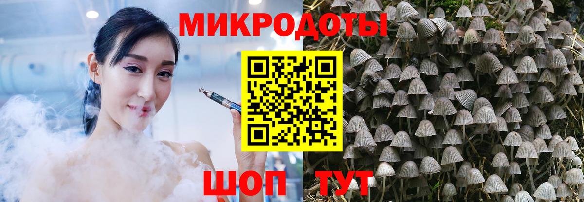 Галлюциногенные грибы MAGIC MUSHROOMS Верхняя Салда